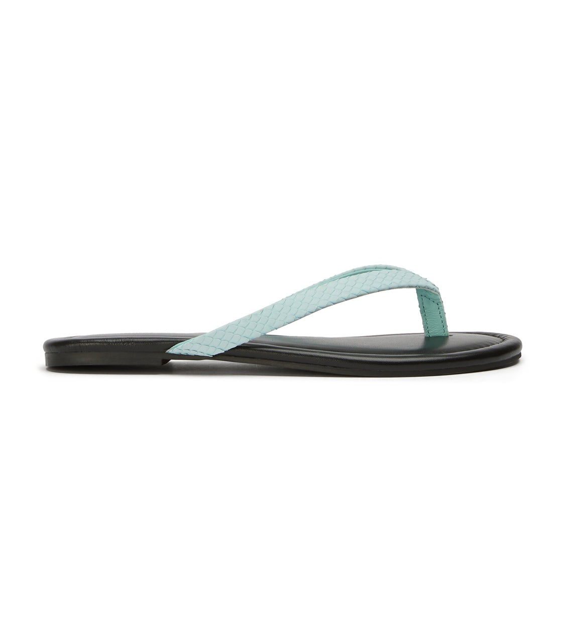 Ally Turquoise Snake/Black - Tony Bianco