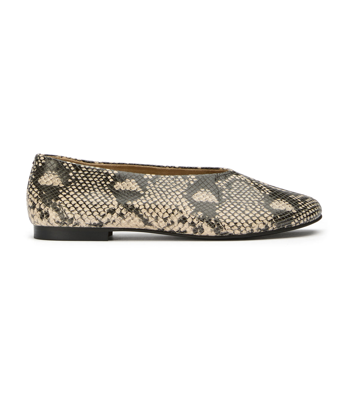 Cuba Ecru Snake - Tony Bianco