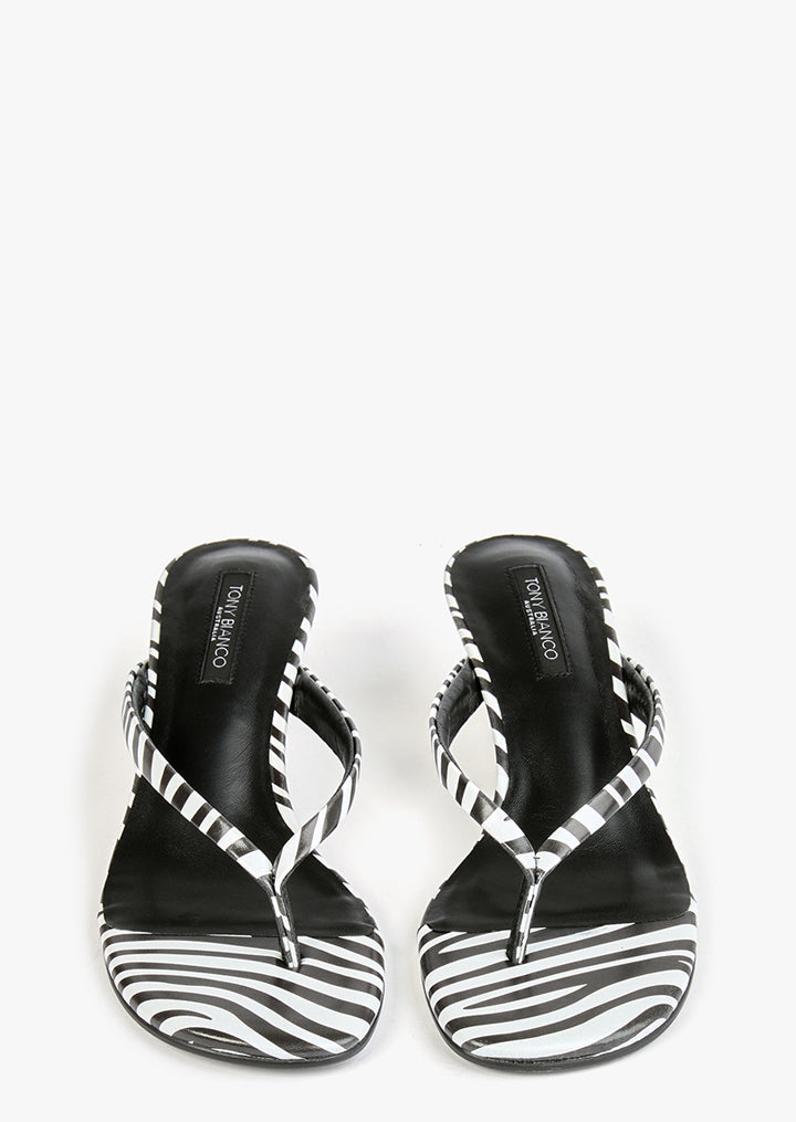 Edgy Zebra - Tony Bianco