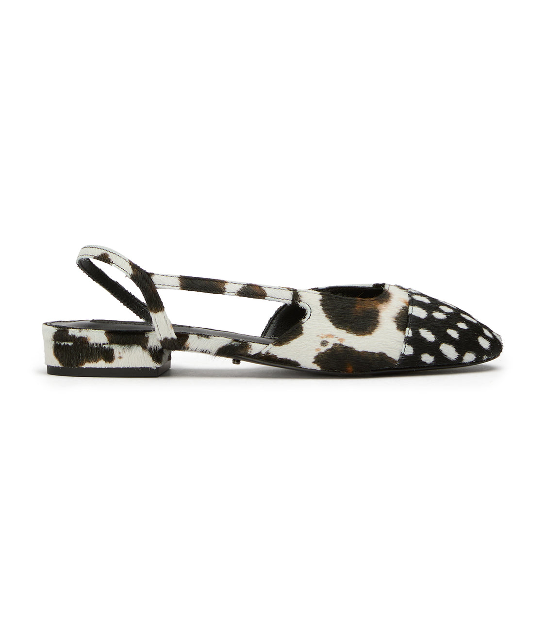 Pixie Snow Leopard/Black Speckle - Tony Bianco