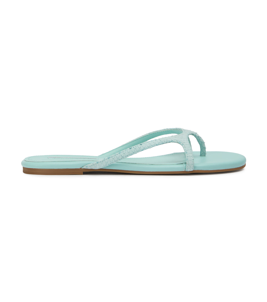 Tabby Turquoise Snake/Turquoise - Tony Bianco