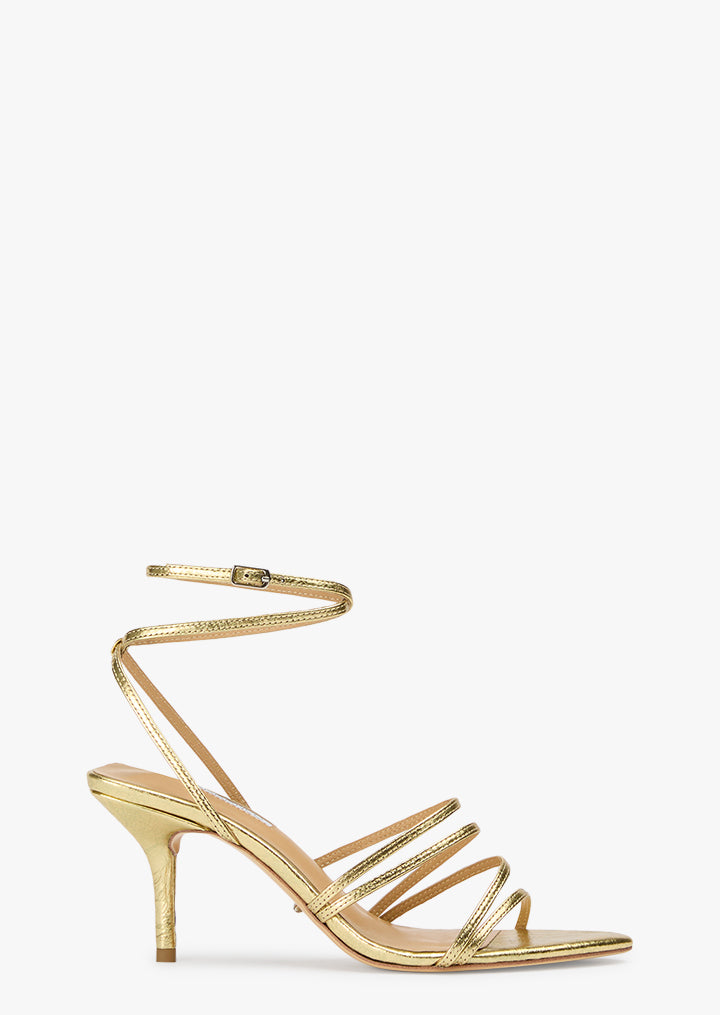 Haiden Gold Vintage Metal - Tony Bianco